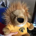 dolphyfluffy