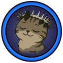 rapidzplayzgamez