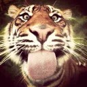 itsblazeys