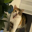 la_lunaa
