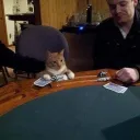 freemtk