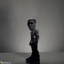 senorflopper