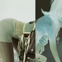 miss_chrysalis