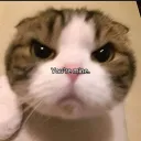 yagituuuu
