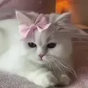 parisiangirl