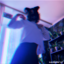 avatar 𝙇𝙖𝙫𝙚𝙣𝙙𝙚𝙧