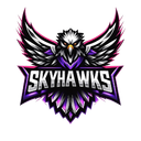 Skyhawks ×͜×