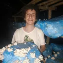 cauby_