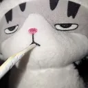 rabithewise