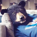 djbigbear