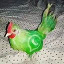 gdhdhdnshebrvrbrhdhrhgerhudbe