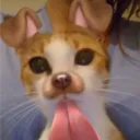 kodyasfuck