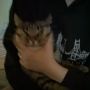 avatar lae☆⋆｡𖦹