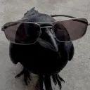_krvx_