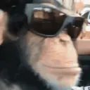 _monkeycheese