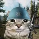 morkofkaa