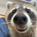 realmonkeyshitsack
