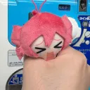 caxapook
