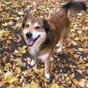 gefaehrbert
