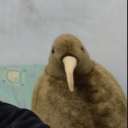 qa717415215's Avatar