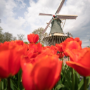 avatar JustNobody_S!n