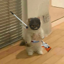 avatar 𝕸𝖆𝖗𝖎𝖊