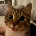 its_spinkle