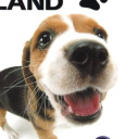 avatar asmoki hates tails!