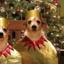 avatar elielielielielielielielieliel