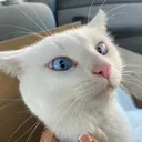 manny_126