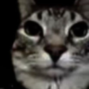 avatar ging gong keaw saradingdingdong