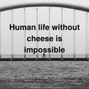 allhailcheese