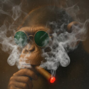 avatar ! Realhal01off