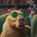 avatar ! Realhal01off