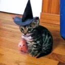 merymery