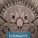 echidna012