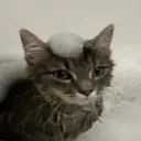 qcqcqc_