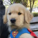 braver19