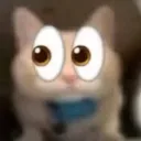 notdiscountleafy