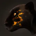 tiyos