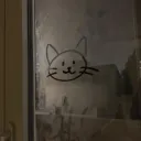 auroraackerman11