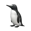 setjer