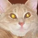 nightkitten05