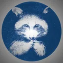 mrstarraccoon