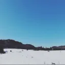 arti0001