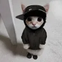 sergeantavocado
