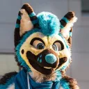 shepgoesblep