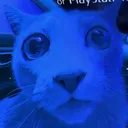 thehamster1000