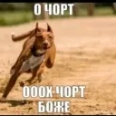 Аватар lostofground