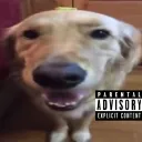 bruhdog0120